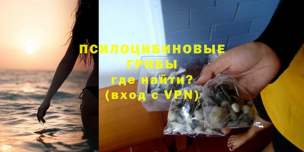 а пвп мука Каменка