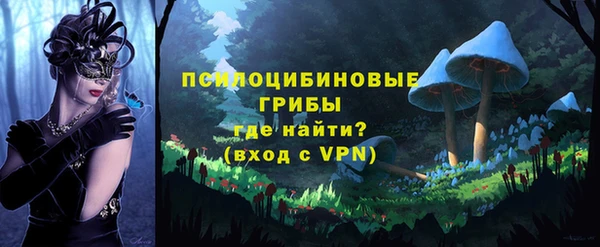 соль курить ск Каменногорск
