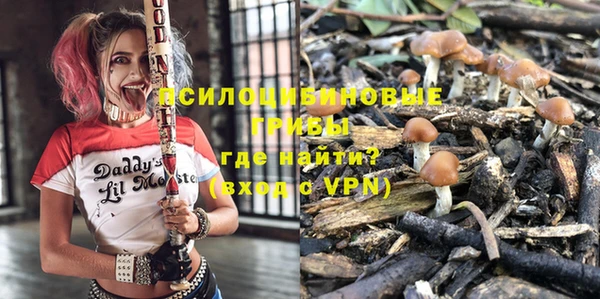 соль курить ск Каменногорск
